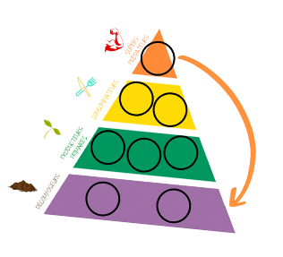 pyramide-alimentaire